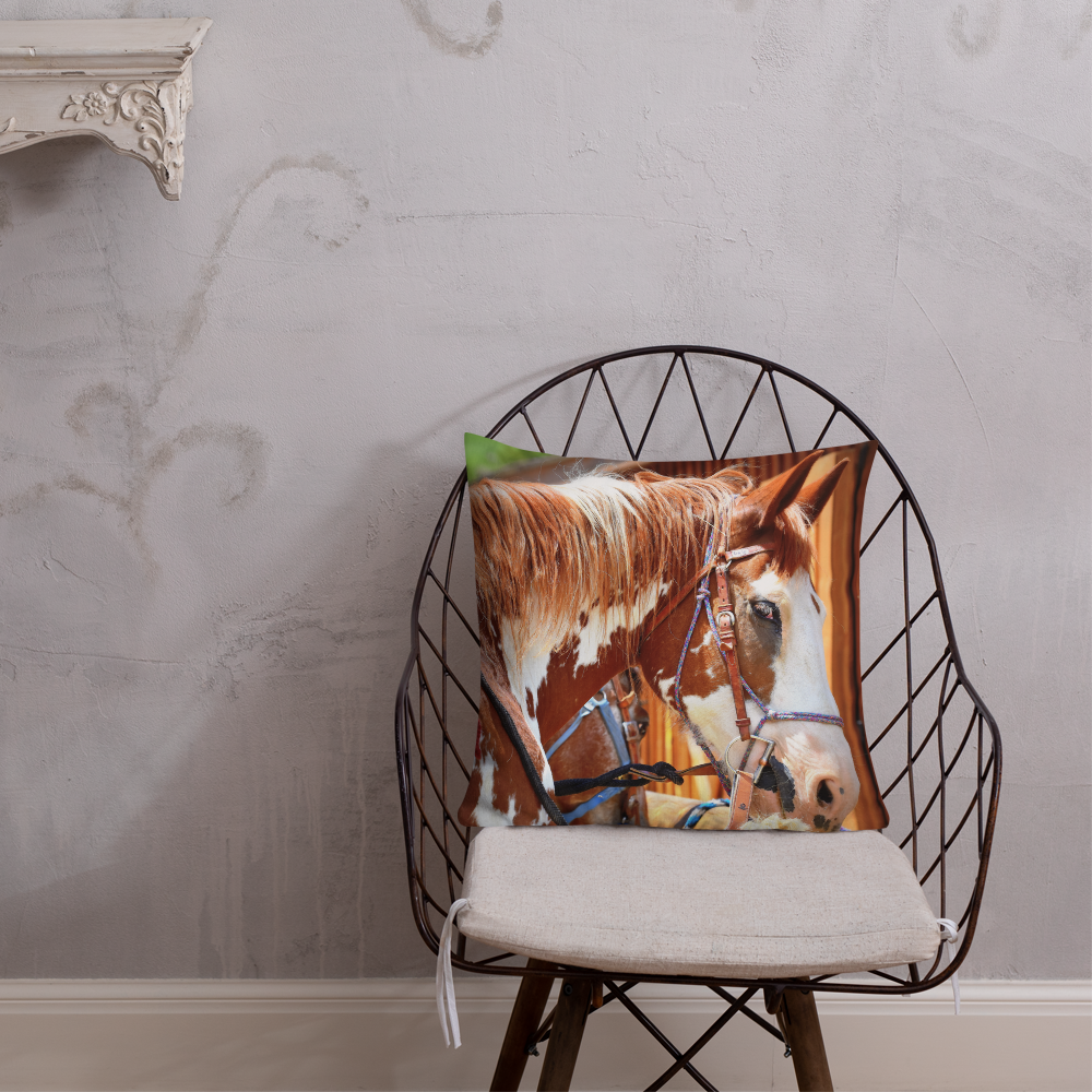 Belgian Painted Horse