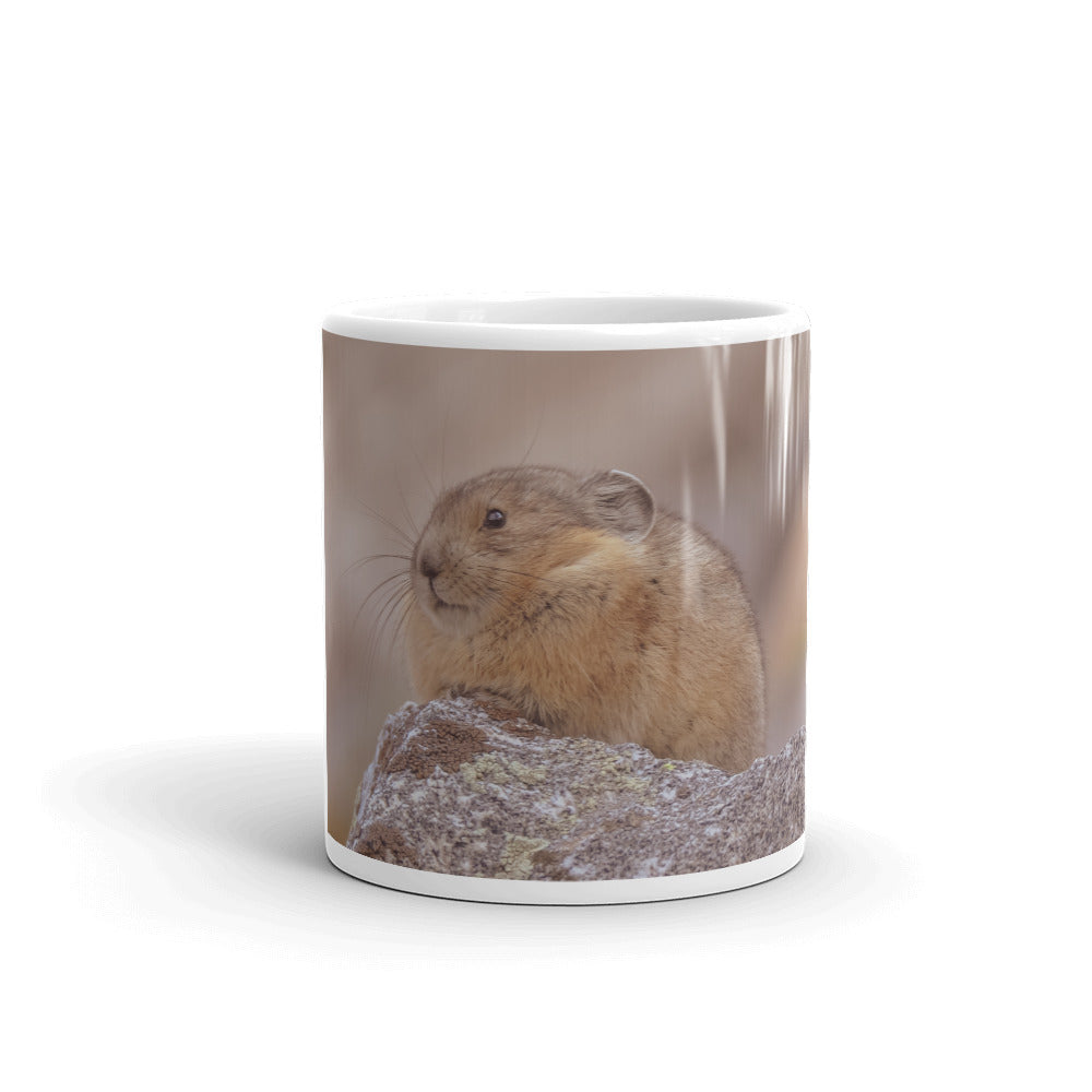 Pikas Rock!