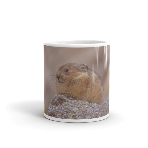 Pikas Rock!