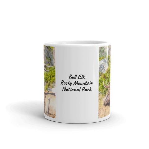 Twelve Point Bull Elk at Rocky Mountain National Park