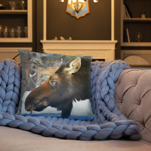 Bull Moose