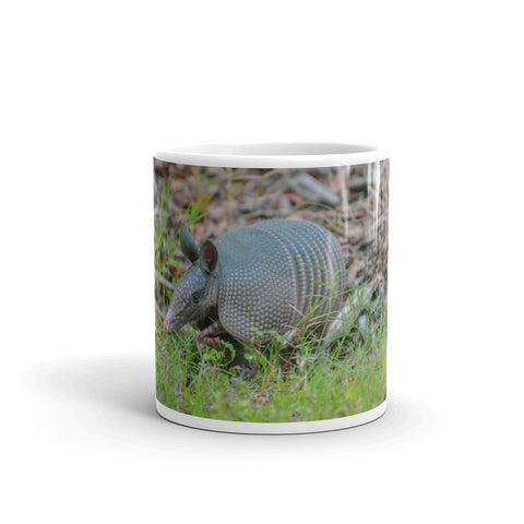 Nine-banded Armadillo
