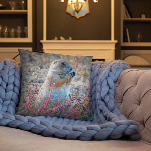 Prairie Dog at the Arsenal