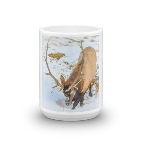Bull Elk in Snow