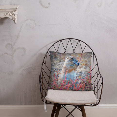 Prairie Dog at the Arsenal