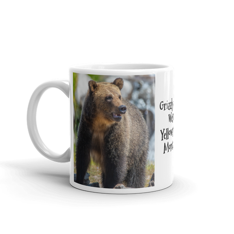 Grizzly Bear