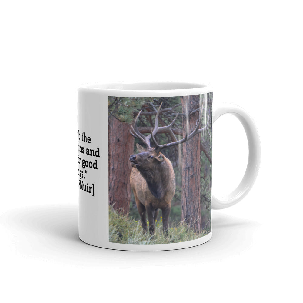 Bull Elk in the Rut