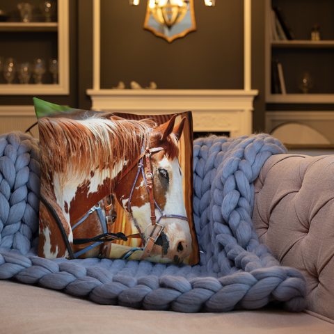 Belgian Painted Horse