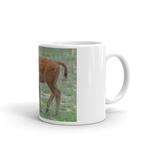 Prancing Buffalo Calf