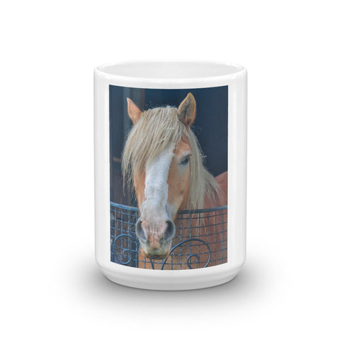 Haflinger Draft Horse