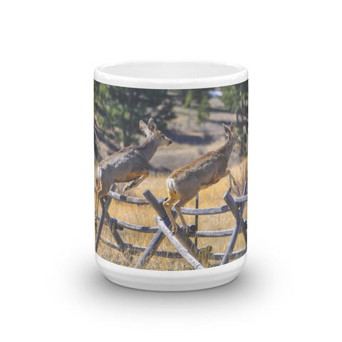 Mule Deer Steeplechase Glenhaven