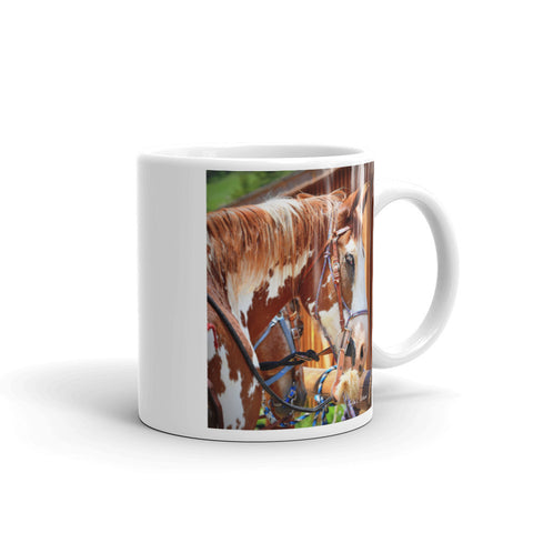 Painted Belgian Horse