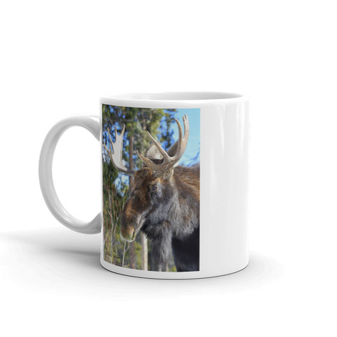 Jefferson the Bull Moose