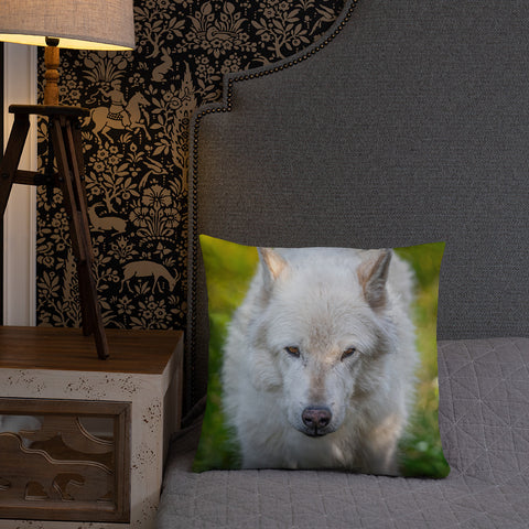 Gray Wolf