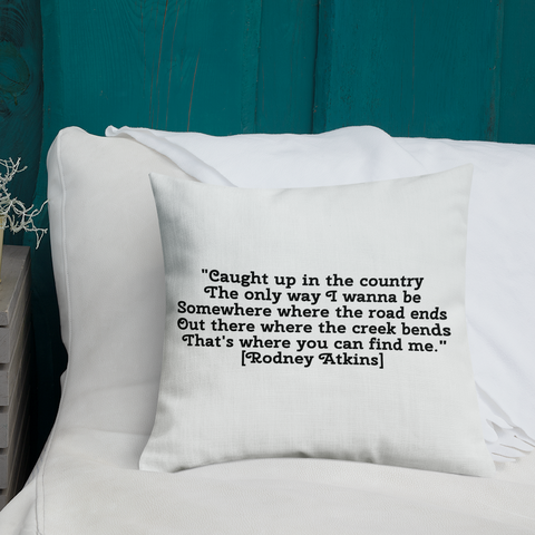 Belgian Painted Horse