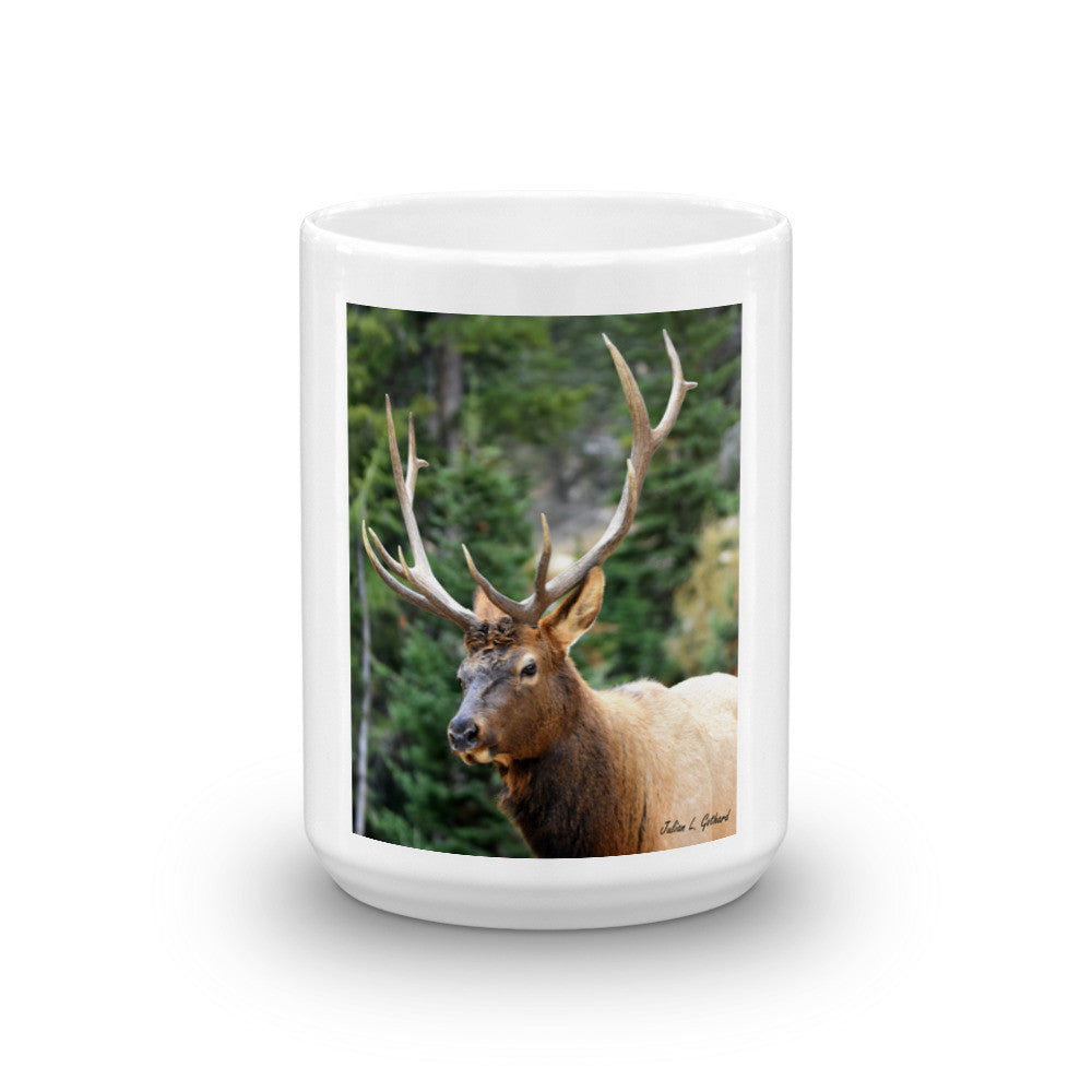 Bull Elk on the Old Fall River Road