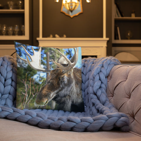 Jefferson the Bull Moose