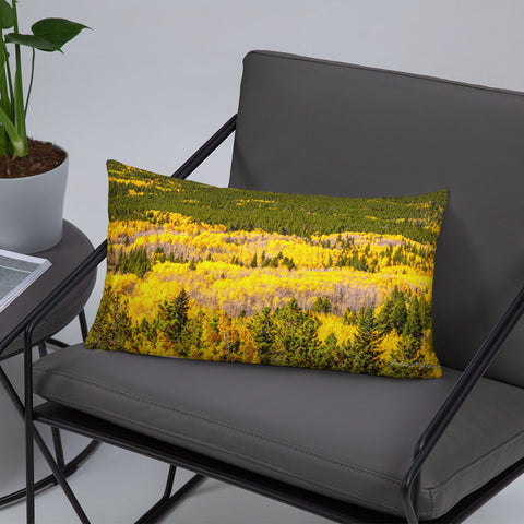 Peak to Peak Fall Color