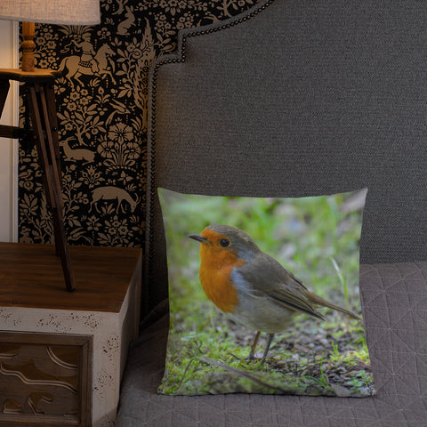 Little Robin Redbreast Came To Visit Me