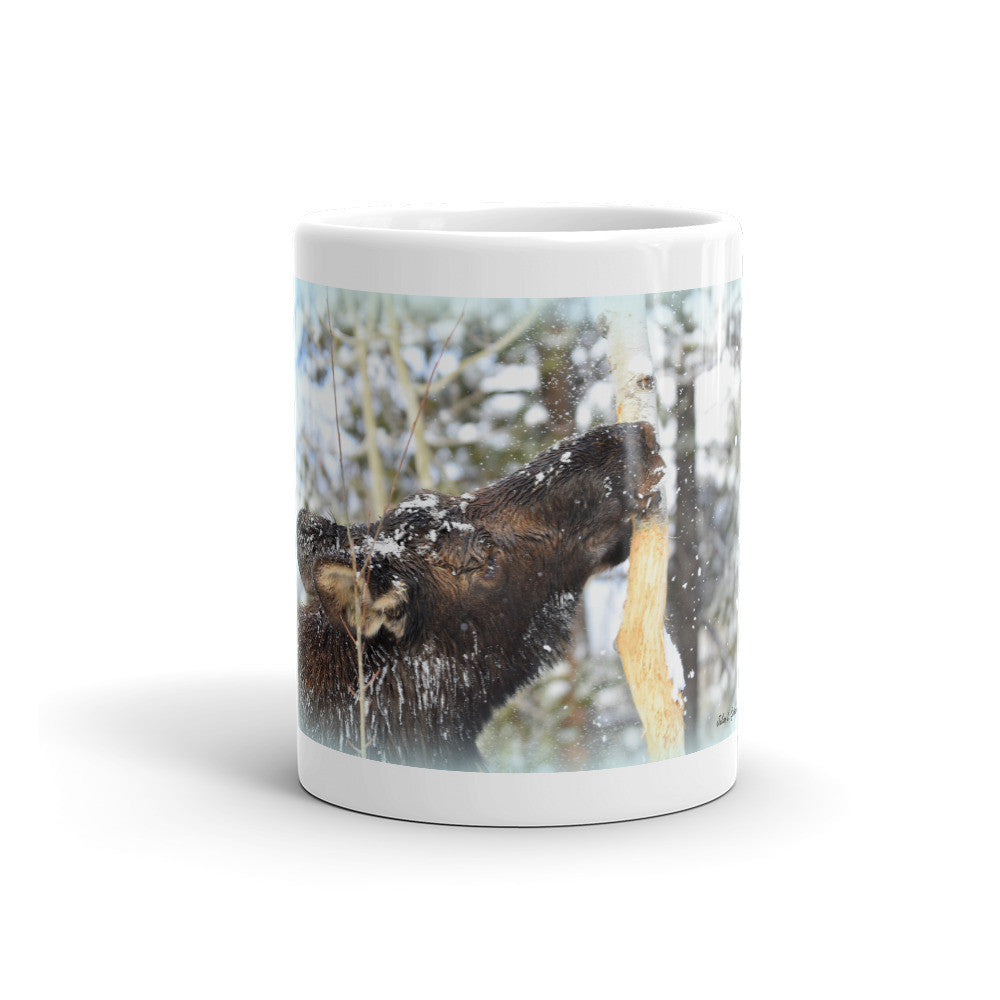 Moose stripping Aspen Bark
