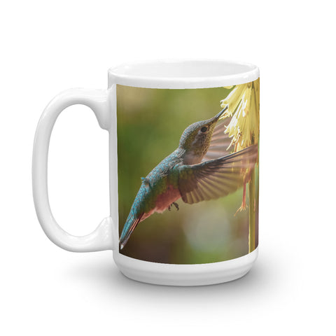 Ruby-Throated Hummingbird and Red Hot Poker