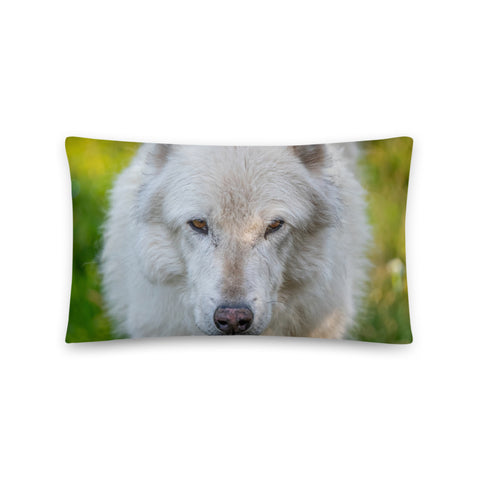 Gray Wolf