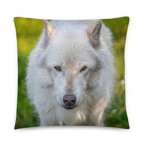 Gray Wolf