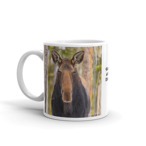Moose in the Woods