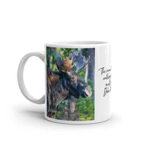 Bull Moose Drinking in the Fall