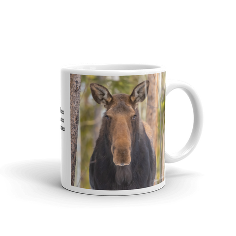 Moose in the Woods