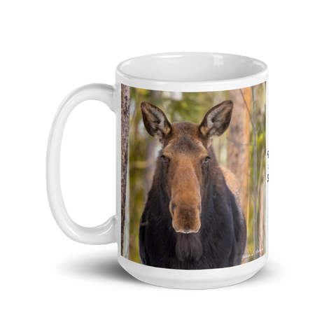 Moose in the Woods