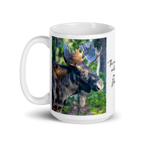 Bull Moose Drinking in the Fall