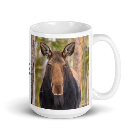 Moose in the Woods
