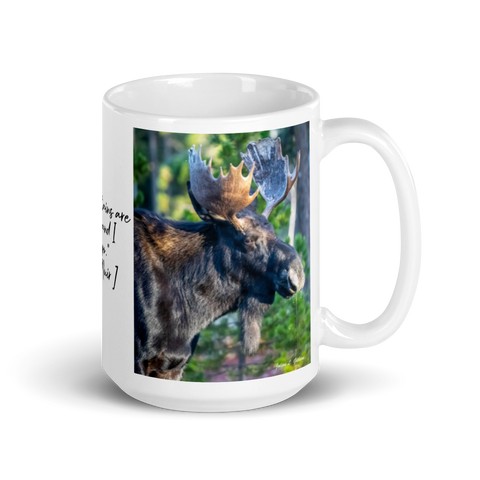 Bull Moose Drinking in the Fall