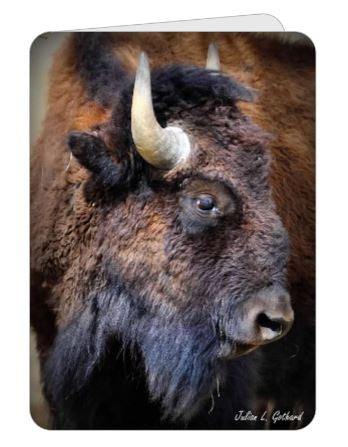 Legend of the Buffalo