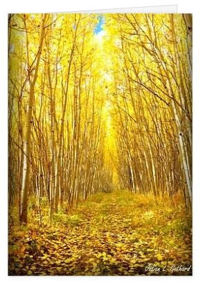 Colonnade of Aspen in the Fall Greetings Card