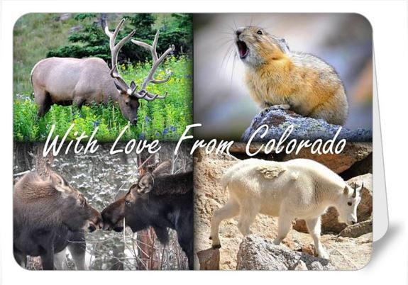 With Love From Colorado Greetings Card
