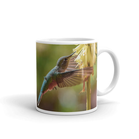 Ruby-Throated Hummingbird and Red Hot Poker