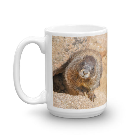 Curious Yellow-bellied Marmot