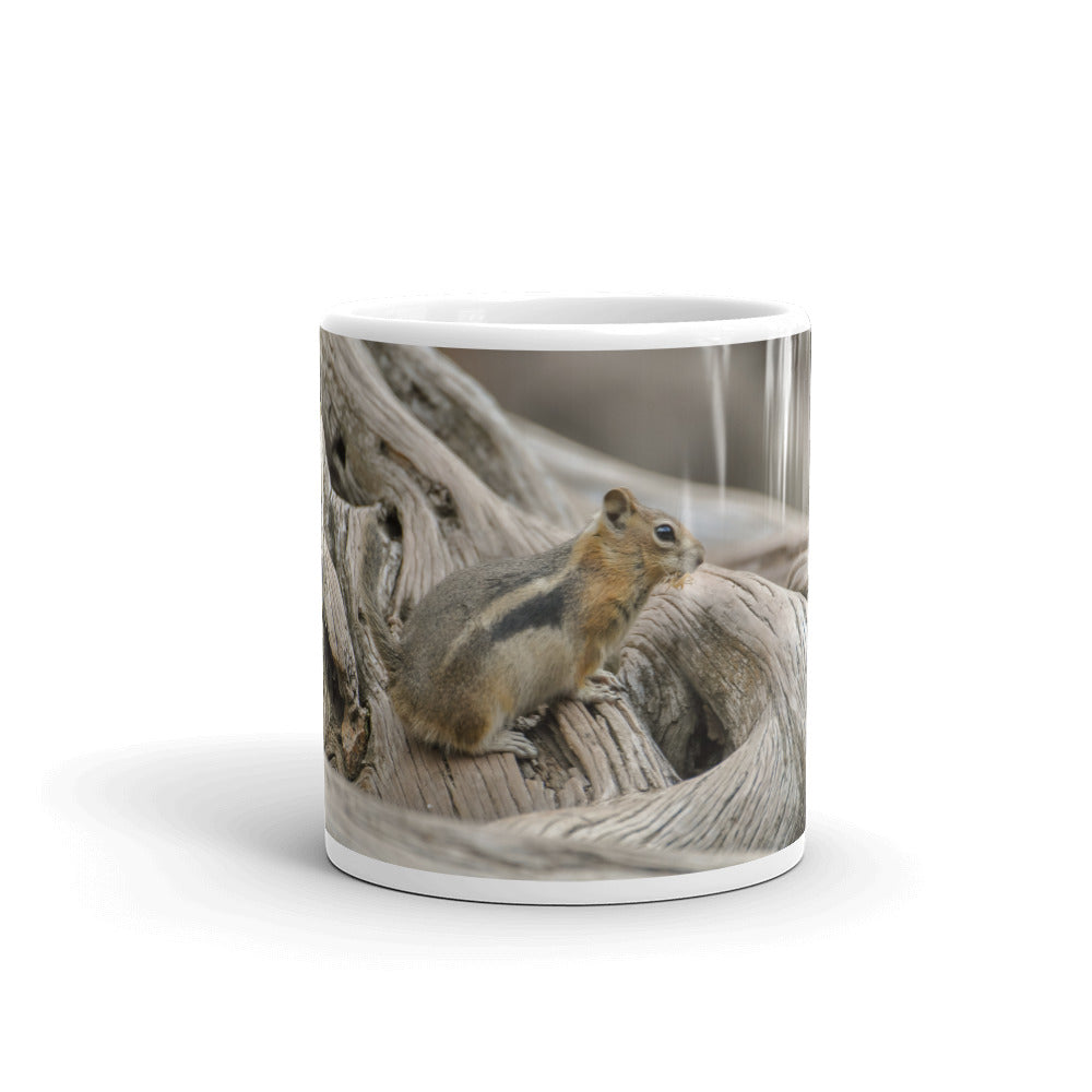 Rocky Mountain Golden-Mantled Ground Squirrel
