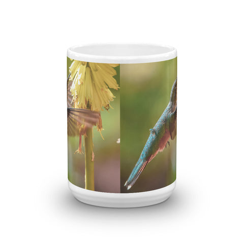 Ruby-Throated Hummingbird and Red Hot Poker